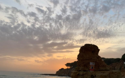 Nurturing True Wealth