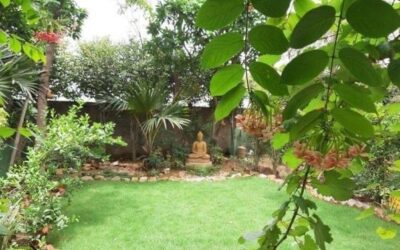 Spring Forward – Prosperity and possibilities