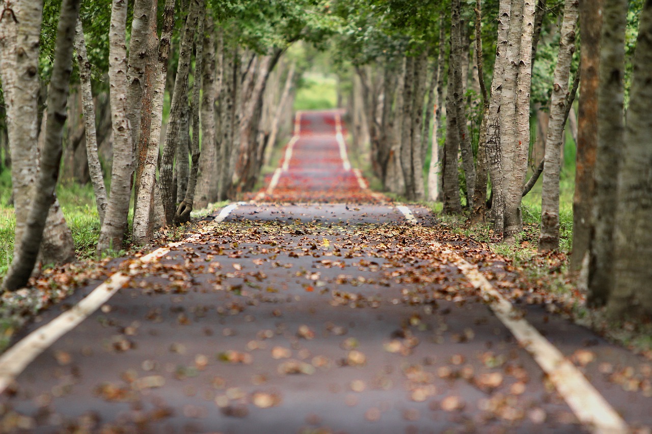 Road